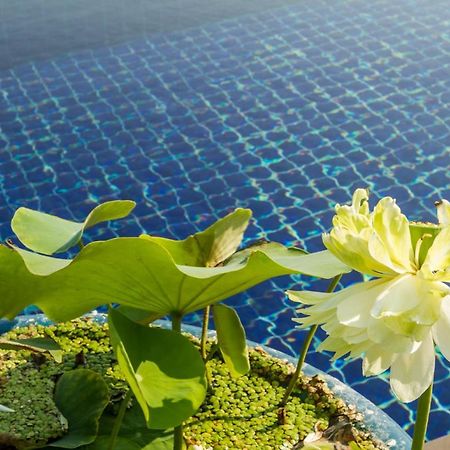 Villa Alpha - Seaview Private Villa Choeng Mon Zewnętrze zdjęcie